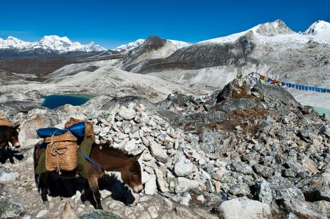 Col du Rinchenzoela à 5300 m pendant le Snowman trek au Bhoutan