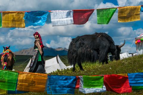 Nomades du Tibet oriental en Chine