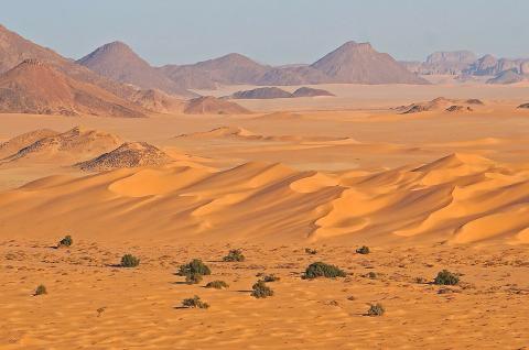Randonnée sur un plateau et dunes en Algérie