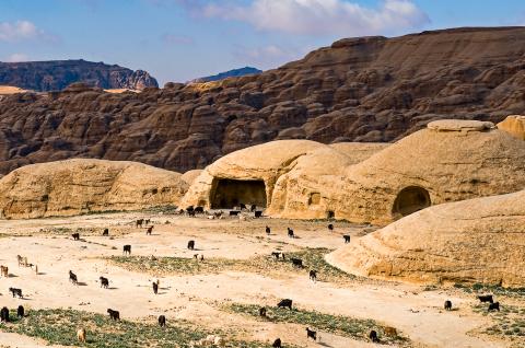 Randonnée vers les anciennes tombes nabatéennes devenues bergeries près de "Petite Pétra"