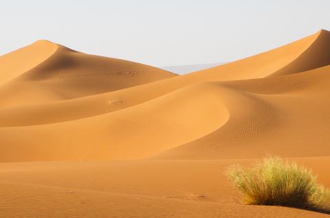 Trekking sur des dunes au oranges à Merzouga