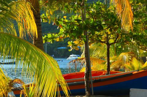 Randonnée à Grande Anse d'arlet en Martinique