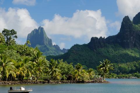 Excursion en bateau dans la baie de Cook à Moorea