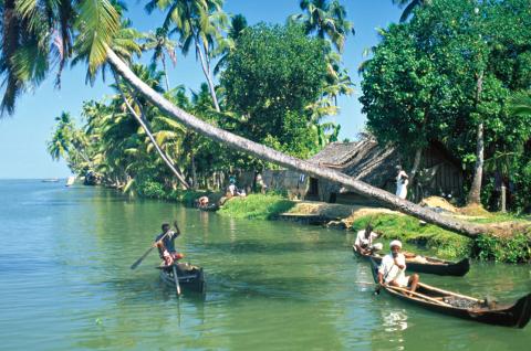 Navigation à travers les Backwaters du Kerala dans la région d'Alleppey