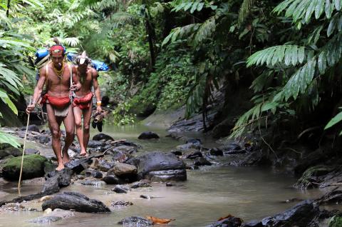 Trek avec des chamans mentawaï vers la région des Sakuddei sur l'île de Siberut