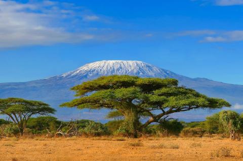 Trek au Kilimanjaro en Tanzanie