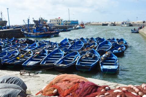 Découverte du port de pèche d'Essaouira