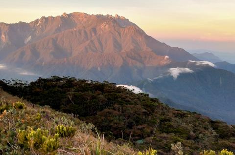 Trekking sur les pentes du Mont Tambuyukon dans l'état de Sabah