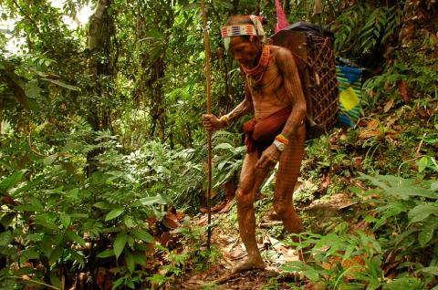 Trek vers la vallée d'Attabai sur l'île de Siberut