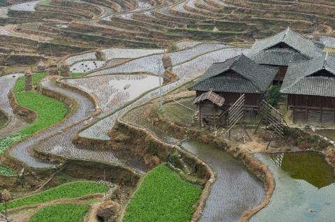 Rizières en terrasses de Jiabang en Chine du sud Randonnée vers les rizières en terrasses de Jiabang au Guizhou oriental