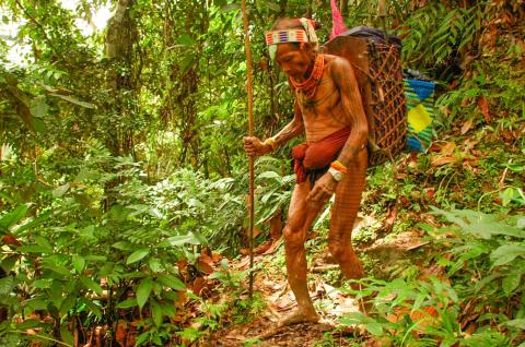 Trek vers la vallée d'Attabai sur l'île de Siberut