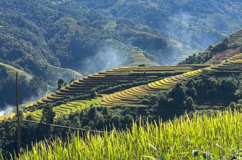 Randonnée près de rizières en terasses de Muong Lo