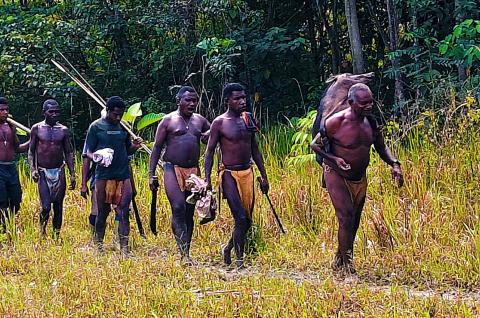 Découverte d'un retour de chasse des Papous Keuw  au nord de la Papouasie indonésienne