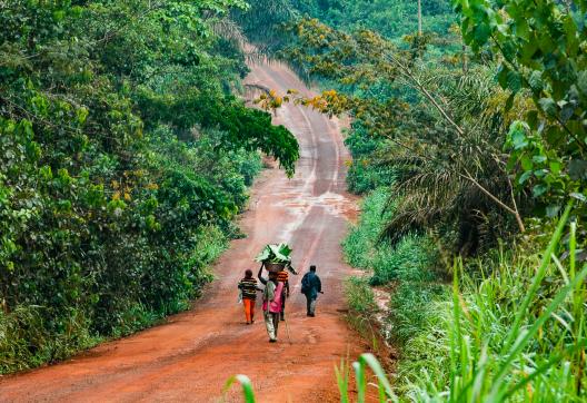 Trek sur une piste entre Begoro et Kwahu