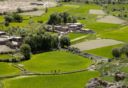 Découverte du village Askole au Baltistan