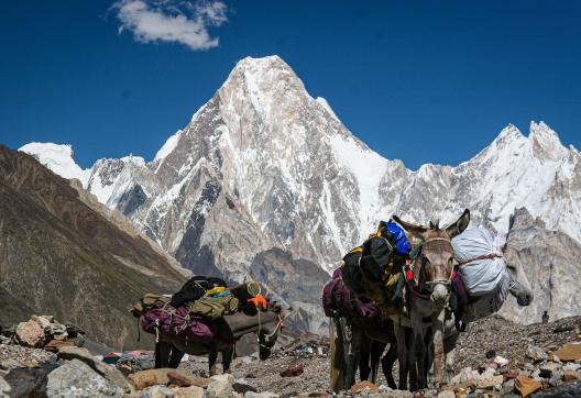 Trek CB K2 vue Gasherbrum 4 au Pakistan