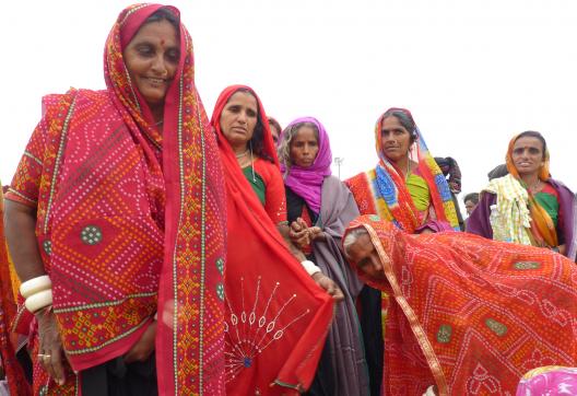 Randonnée vers des femmes rajpoutes en pèlerinage au Rajasthan