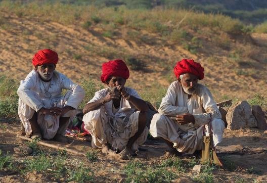 Trekking avec des bergers raika entre Rajasthan et Gujarat