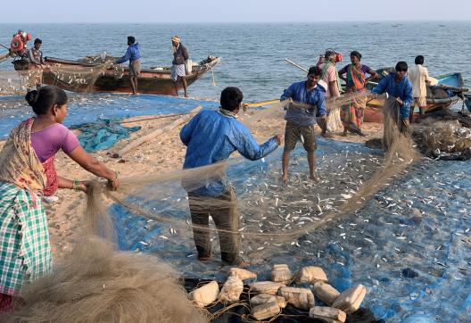 Voyage vers des pêcheurs du golfe du Bengale en Orissa