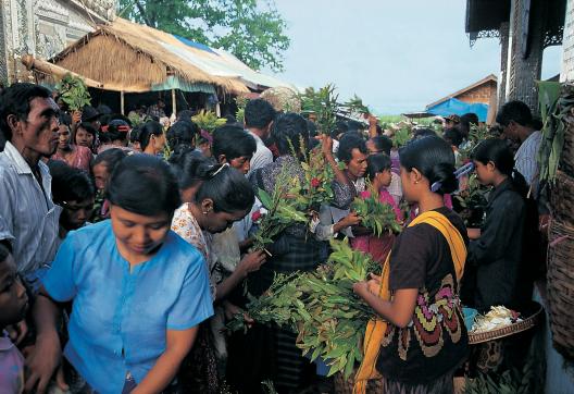 Randonnée parmi la foule dans un sanctuaire des esprits de Taungbyone