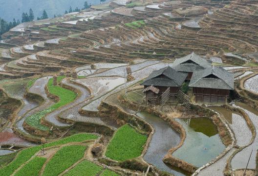 Randonnée vers les izières en terrasses de Jiabang au Guizhou oriental