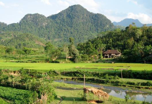 Trekking vers les rizières et paysage karstique dans les montagnes du nord Vietnam