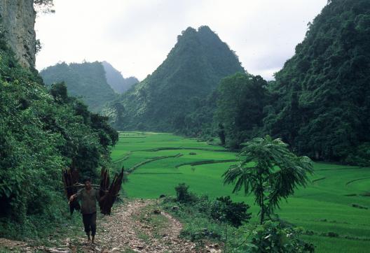 Trekking dans les montagnes karstiques au nord-ouest de Cao Bang