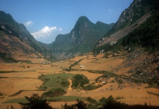 Trekking à travers un plateau karstique entre Can Yen et Bao Lac