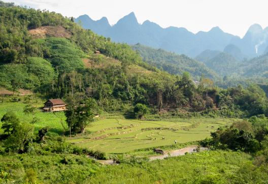 Trekking  dans les montagnes des Alpes Tonkinoises  tout au nord-ouest du Vietnam