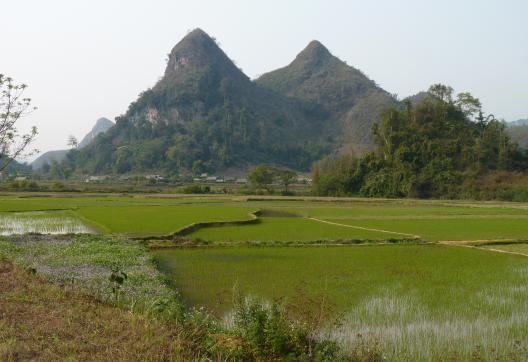 Trekking à travers le paysage montagneux du plateau de Lai Chau