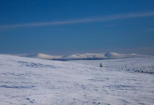 Découverte de l'ambiance arctique en Laponie finlandaise