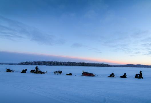 Trekking et raid en traineau à chiens sur le lac Inari