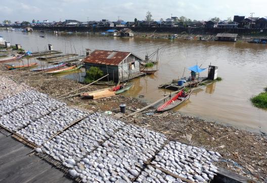 Traversée en bateau de la partie basse du fleuve Mahakam sur Kalimantan Est