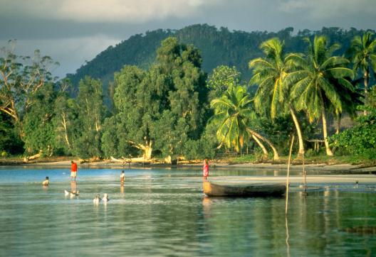 Exploration des forêts primaires bordant les plages de l'Océan inden