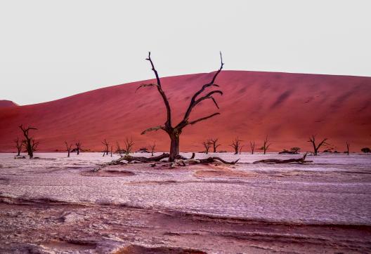 Balade dans les paysages de Sossusvlei dans le Namib