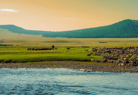 Voyage d'avanture avec les nomades du Nord de la Mongolie