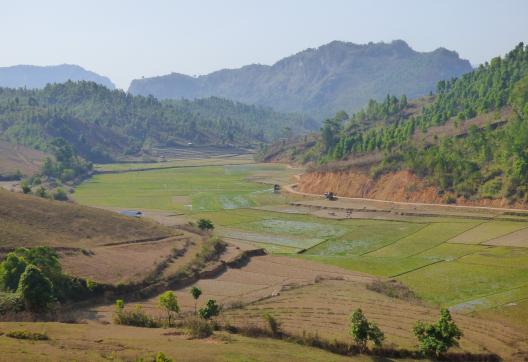 Randonnée dans les collins cultivées de l'État Shan entre Kalaw et le lac Inlé