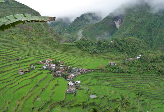 Trek vers les rizières en terrasses de Batad dans les montagnes de la Cordillera