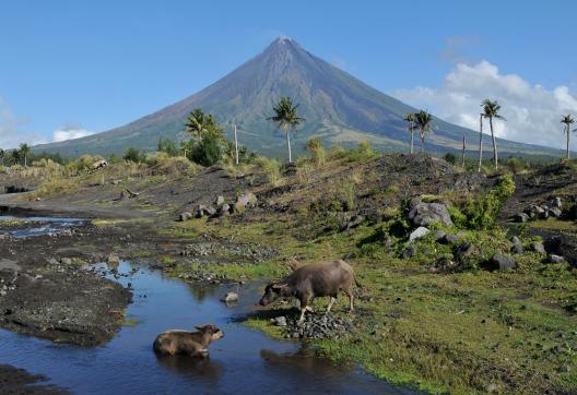 Trekking vers le volcan Mayon dans la région de Legazpi