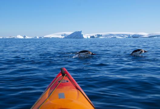 Voyage et navigation en kayak en terre de Graham