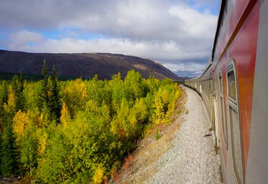 Voyage  aventure dans la taïga en Transsibérien en Russie