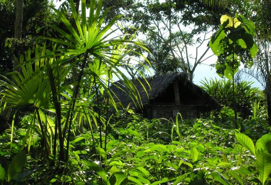 Village en Amazonie en Équateur