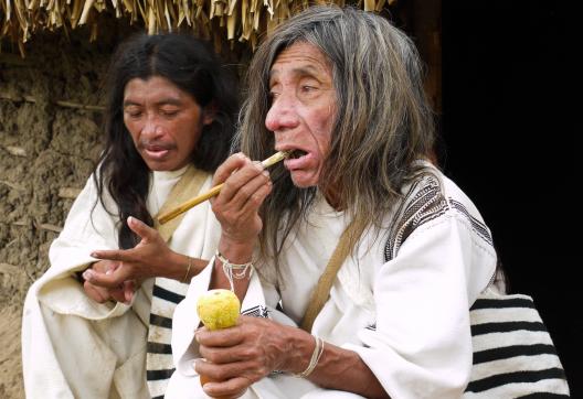 Kogi avec son poporo en Colombie