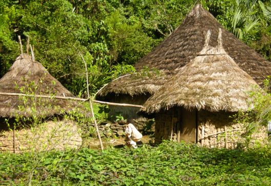 Village Kogi en Colombie