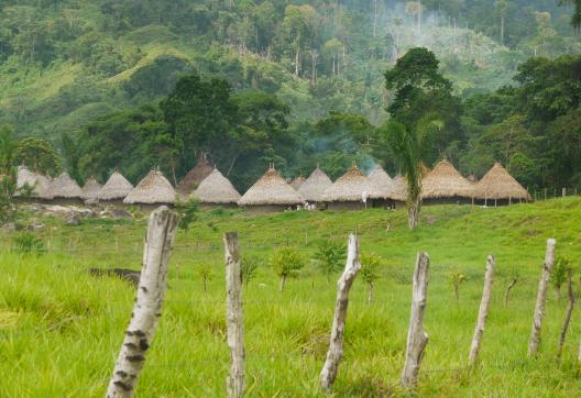 Village Kogi en Colombie