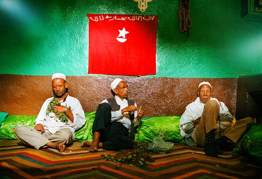 Rencontre avec des hommes "broutant" du khat à Harar