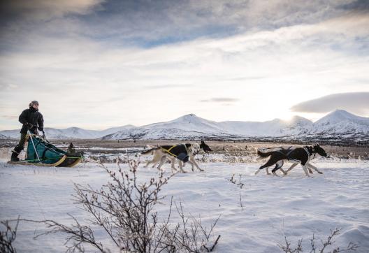 Trekking et paysages arctiques au Canada