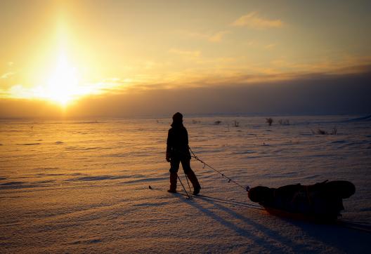 Voyage en ski-pulka dans le soleil couchant de Laponie
