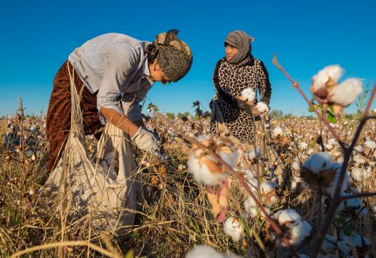 Voyage et rencontres avec les femmes ramassant le coton dans le Khorezm