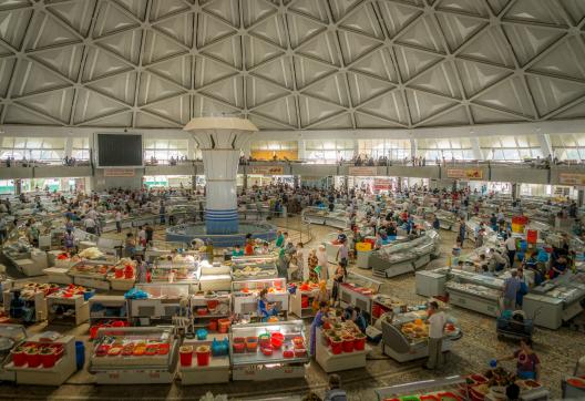 Découverte du marché couverte de Tashkent